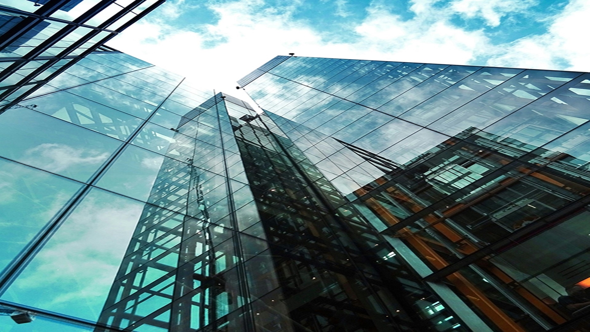 신일 비아프 크레스트